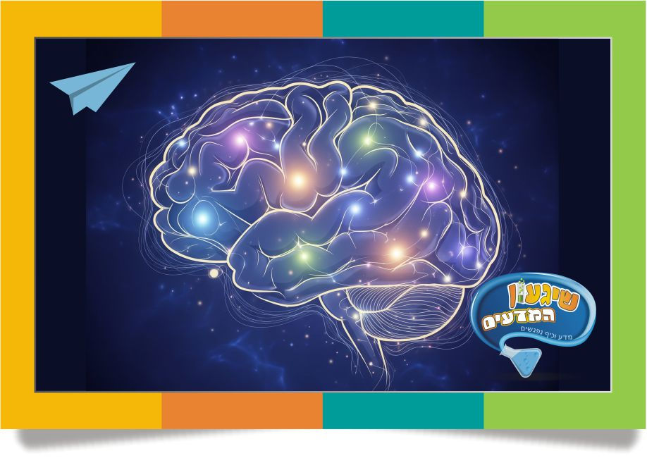 רשת ברירת המחדל (Default Mode Network - DMN)