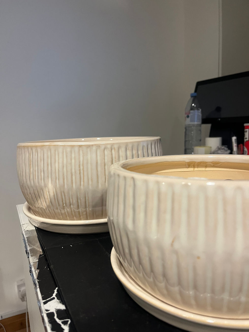 Thumbnail: 2X Bonsai Ceramic Plant Pots