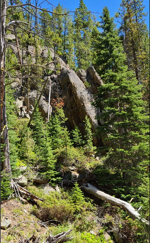 Bog Creek.png