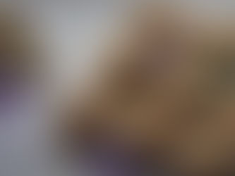 Blueberry Cheesecake Crumble Muffins