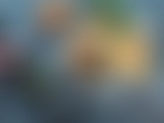 Sesame Orange Chicken