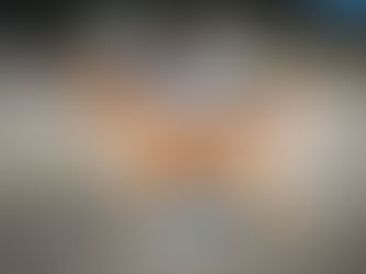 Régionale Retriever Fontainebleau 2022