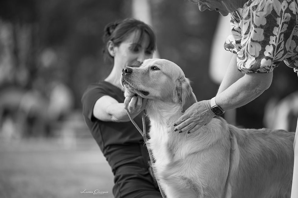 IMG_2475_edited.jpg