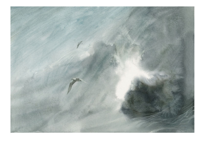 Thumbnail: signed print - Breaking Wave