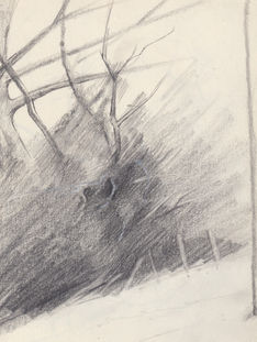 woodland edge graphite sketch