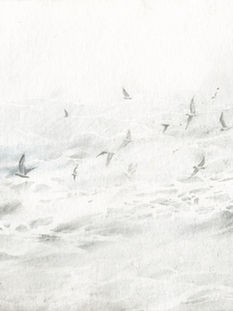 A ballet of gulls over wind-white water. Watercolour Seascape painting by James Morgan Williams