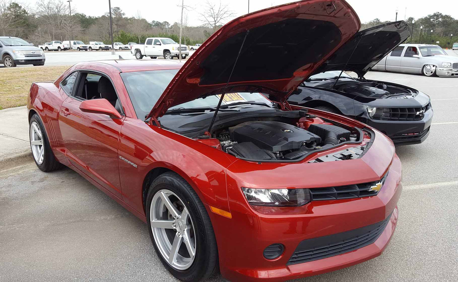 Fullscreen Page | Georgia Classic