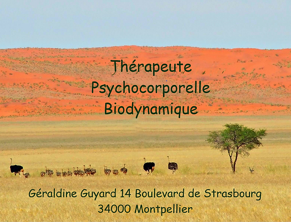 capture d’écran 6 (2).png