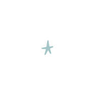 transparent stars (Work Space) (1).png