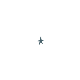 transparent stars (Work Space) (2).png