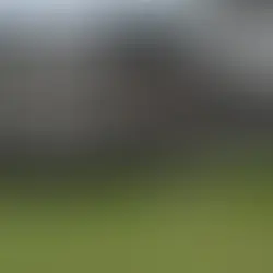 LIV Golf’s Path Forward: Managing Growth and Investment in a Competitive Landscape