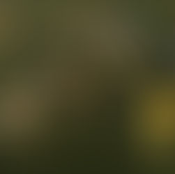 NFL and Amazon Partnership to Drive AI-Enhanced Football Experience