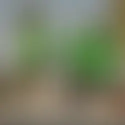 Dubai Boosts its Endurance Sport Credentials