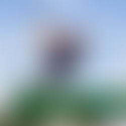 LIV Golf Partners with Salesforce on AI ‘Fan Caddie’ 