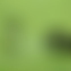 RBFA launch Project Fenix to Revolutionize Belgian Football Operations 