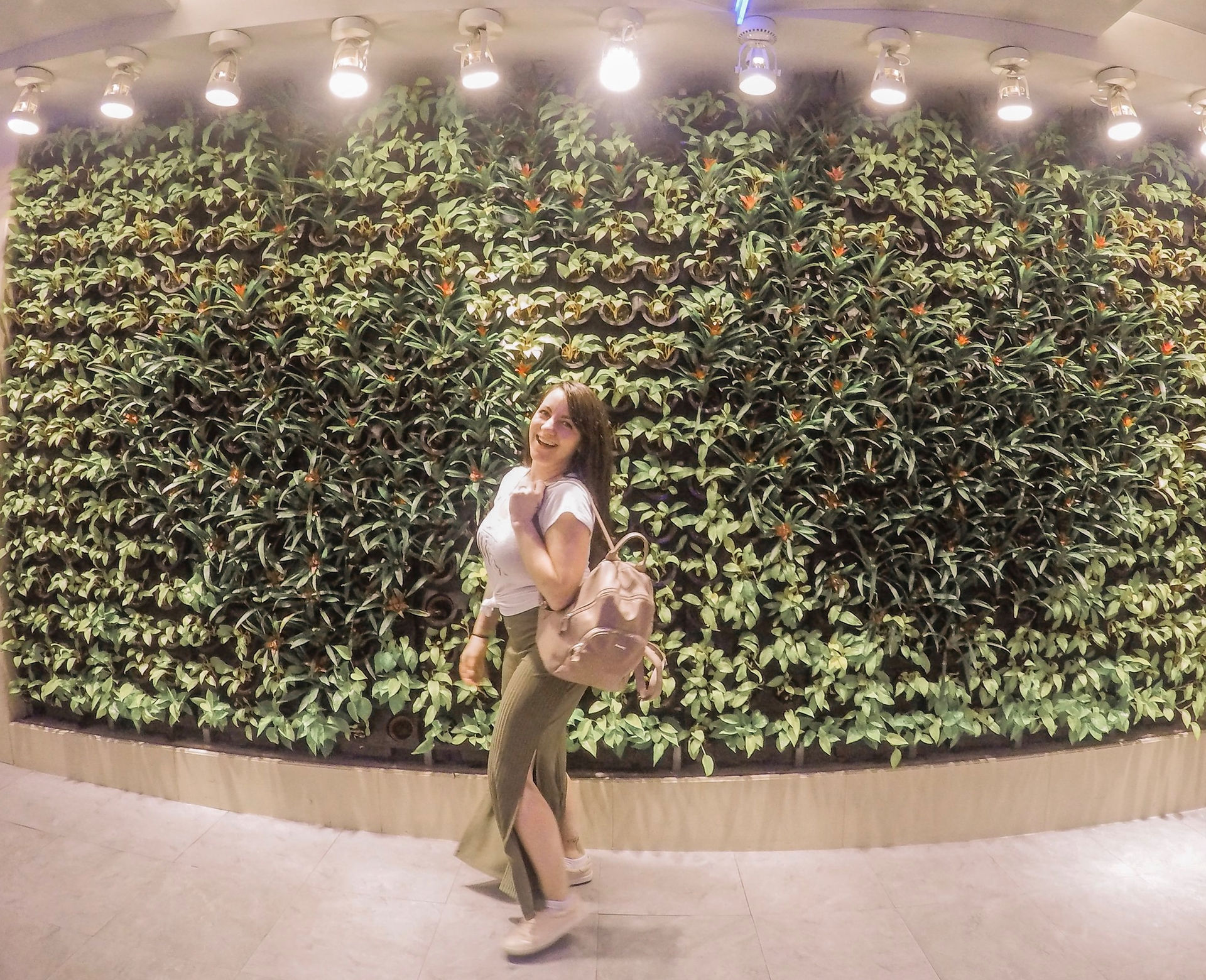 Living wall at Taiwan Taoyuan 