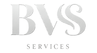 A_2D_digital_vector_logo_features_the_acronym__BVS.png