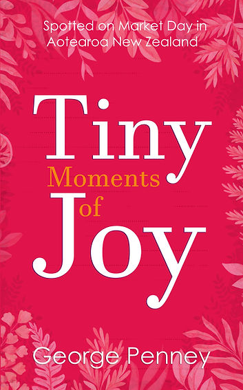 You're looking at the cover for Tiny Moments of Joy, Spotted on Market Day in Aotearoa New Zealand. The cover is a deep pinkish red, the border is pale fern leaves and the font of the title is a white and orange serif font. The vibe is restful. 