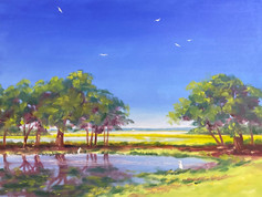 West Pond Egrets #129