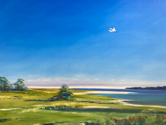 Fripp Island/White Heron #130