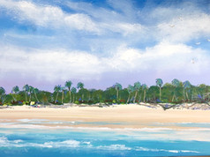 Boneyard Forest #29