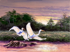 Egrets Sunrise #86