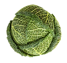 Cabbage