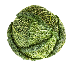 Kapusta