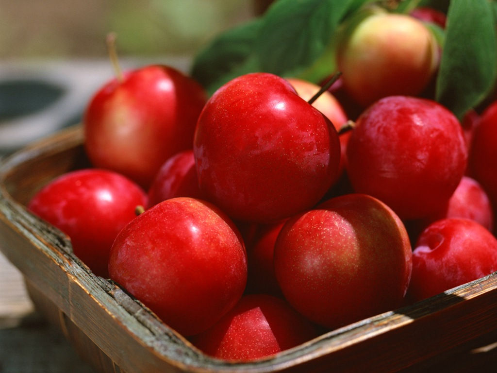 蘋果萃取液 Apple Extract (30ml)