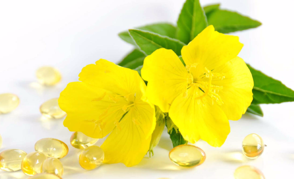 月見草油 Evening Primrose Oil
