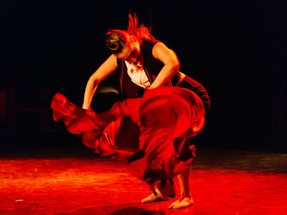 2250_gorini_show_corrida_danse.jpeg