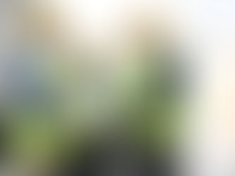 Se jkun qed jinħoloq ċentru ġdid ta’ matul il-jum fil-Gżira għall-anzjani b’diżabilità