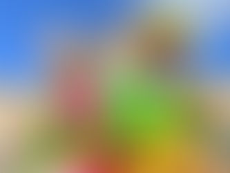 Carnival in February back with a bang!