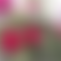 Everywhere Abundance!