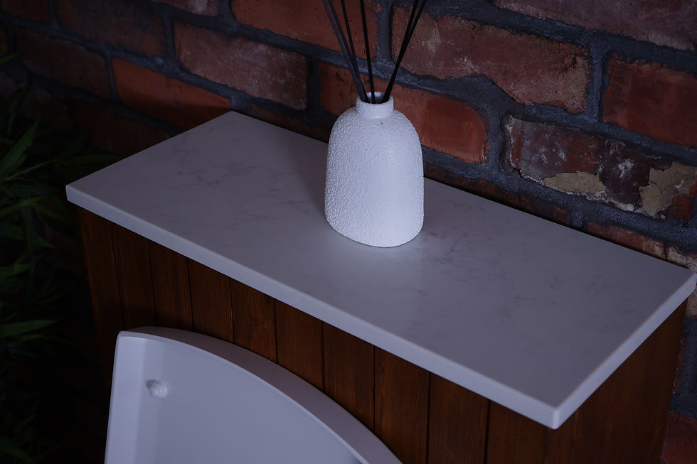 Thumbnail: Artisan Back To Wall Toilet Unit With Quartz Top