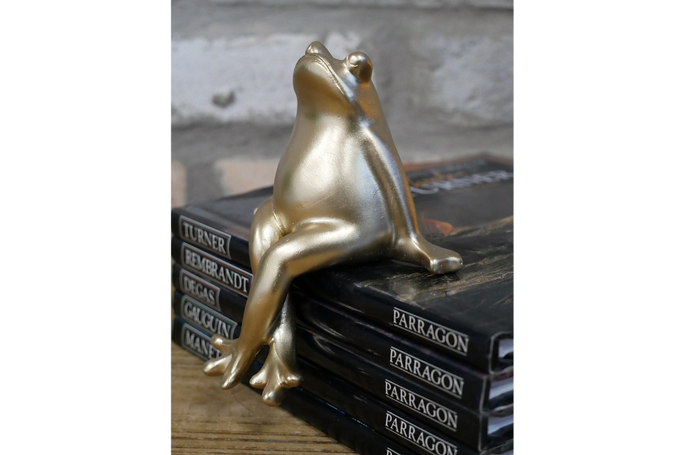 Thumbnail: The Cross-Legged Frog
