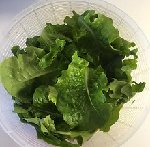Real Organic Romaine