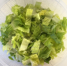 Faux Organic Romaine