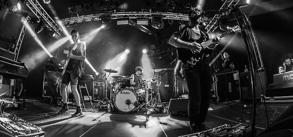 Foals