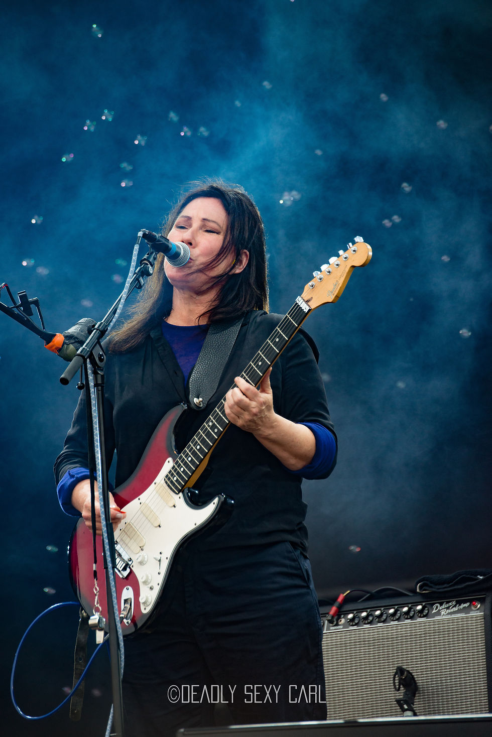 The Breeders