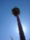 Palm removal in Perth, WA