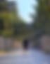 764983e2-3a78-4a0c-a5cf-f3cc3f25be45_edited.jpg