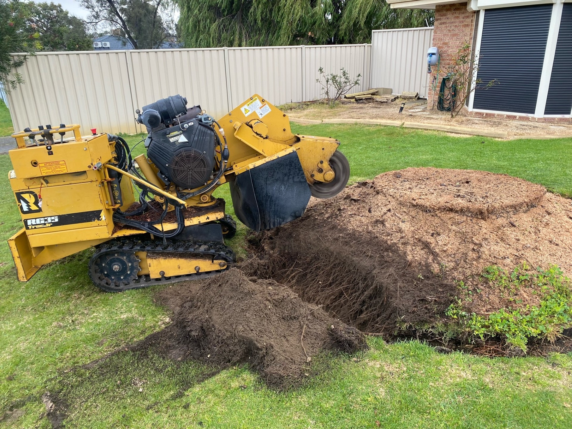 Tree removal services in Perth, Western Australia - Swift Trees Perth WA