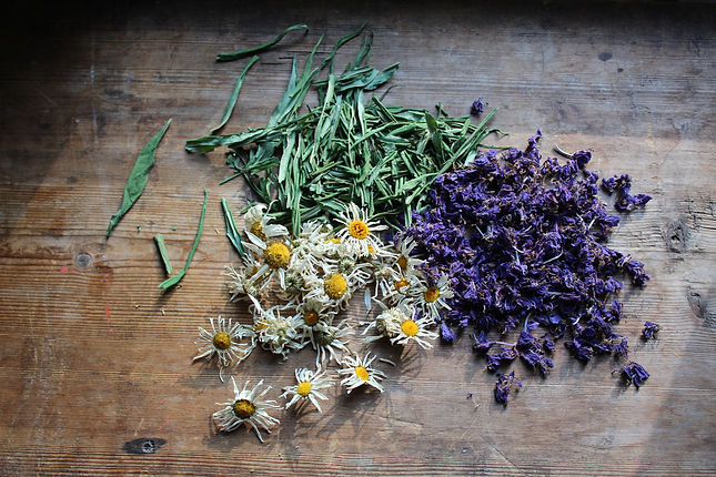 Herbs 3.jpg