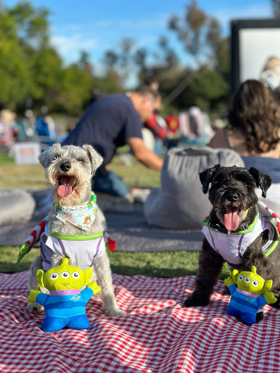 Two dogs in costumes sit on a red checkered blanket, each with a stuffed toy alien. They're outdoors with people in the background.