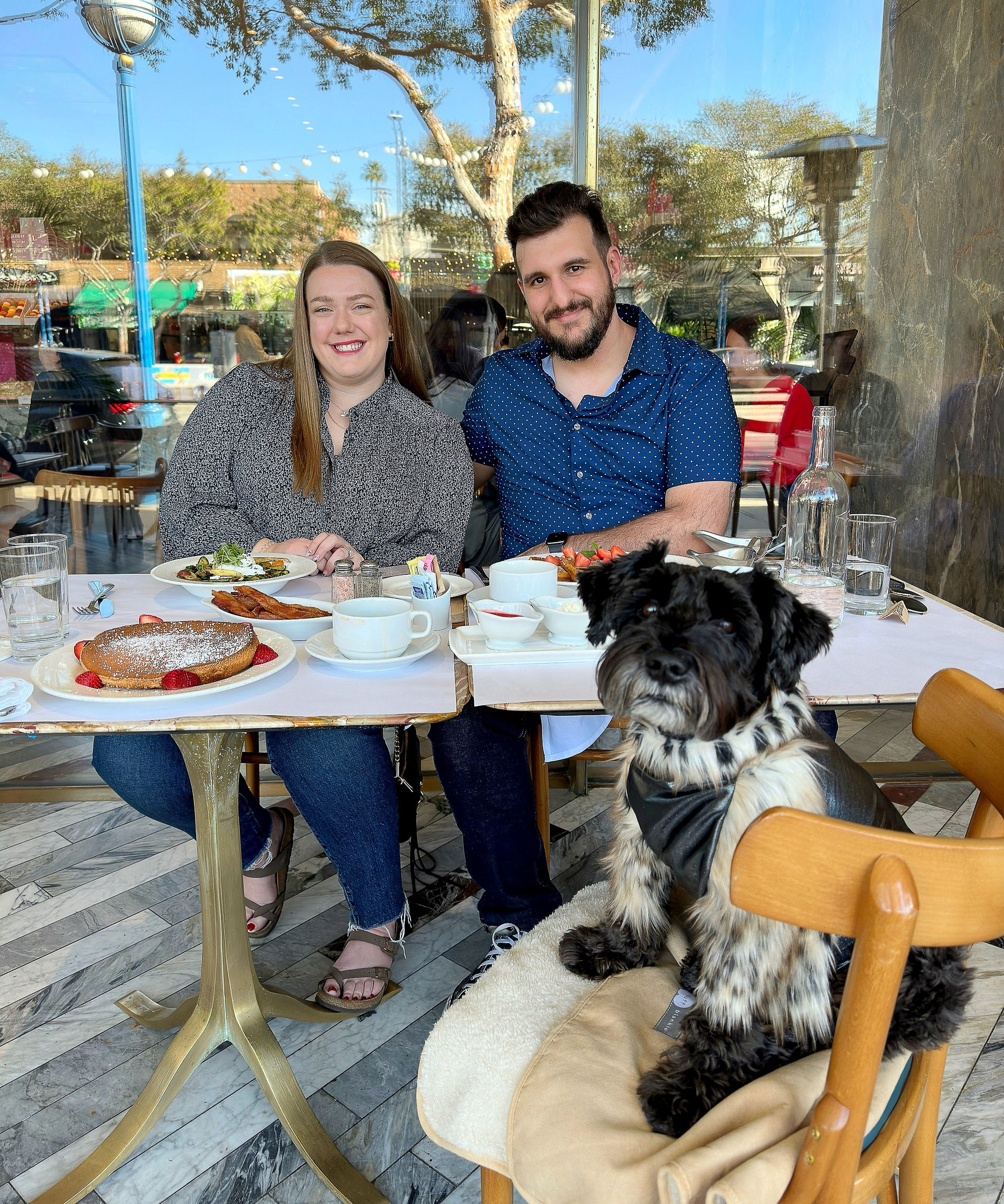 Bottega Louie with my friend @nalatheschnoodle 's parents visiting from Toronto, Canada. Sweet life of calvin los angeles dog guide for dog friendly restaurants in Weho West hollywood is sitting on an outdoor patio with pancakes and brunch on the table.