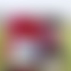 Emergency Pet Preparedness: How to Create a Go Bag for Your Dog