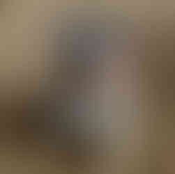 Grey and silver Miniature schnauzer with a pink bow at LA Schnauzer Meetup