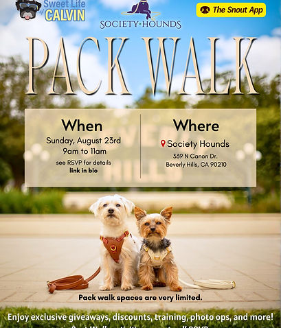 beverly-hills-pack-walk-society-hounds-sweet-life-of-calvin-the-snout-app-event-dog-friend