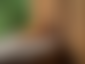 Trusted Extermination Services in Durham